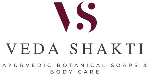 Veda Shakti